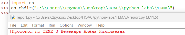 Скриншот созданного рабочего протокола