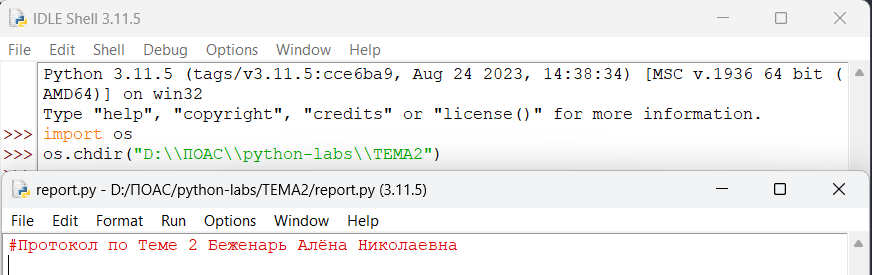 Изменение директории и создание report.py