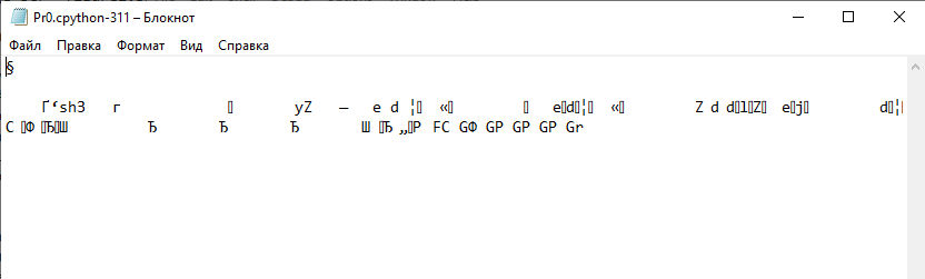 Двоичный код в txt