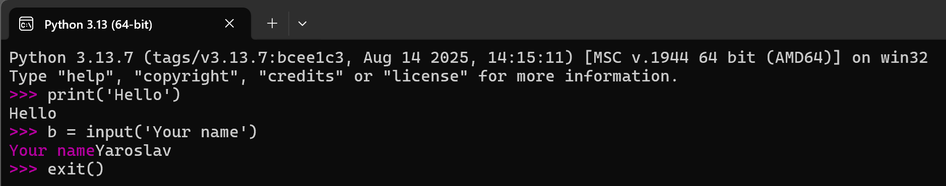 Скриншот окна интерпретатора с введенными командами