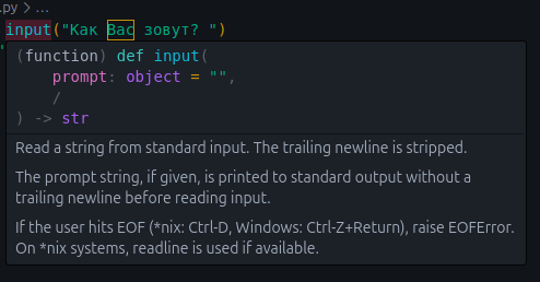 Информация о функции input()