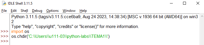Скриншот вида окна