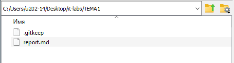Скриншот выбора текущей папки