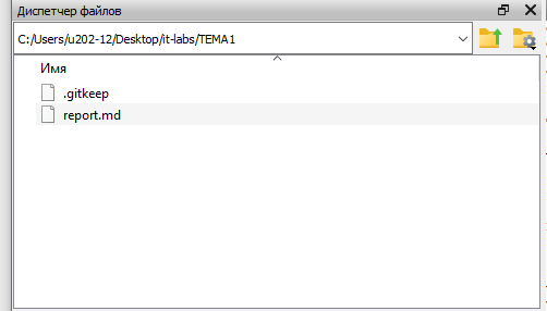 Скриншот списка файлов