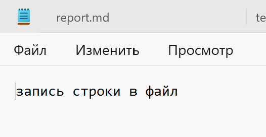 Скриншот файла